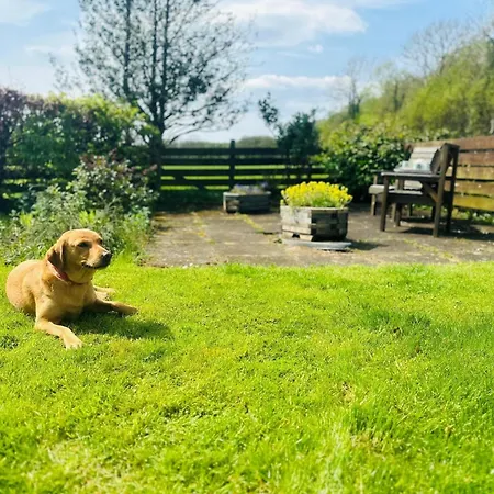 1 Bed In 87247 Tatil Evi