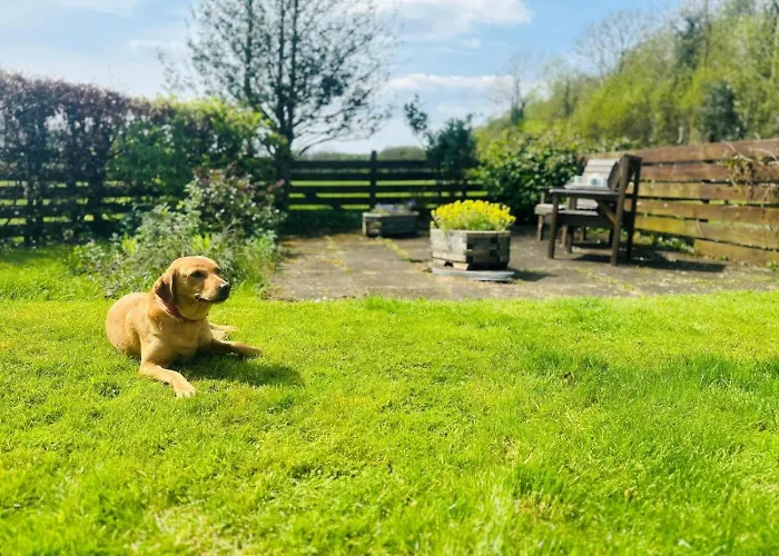 度假居 1 Bed In Holmrook Oc-87247 埃斯克代尔